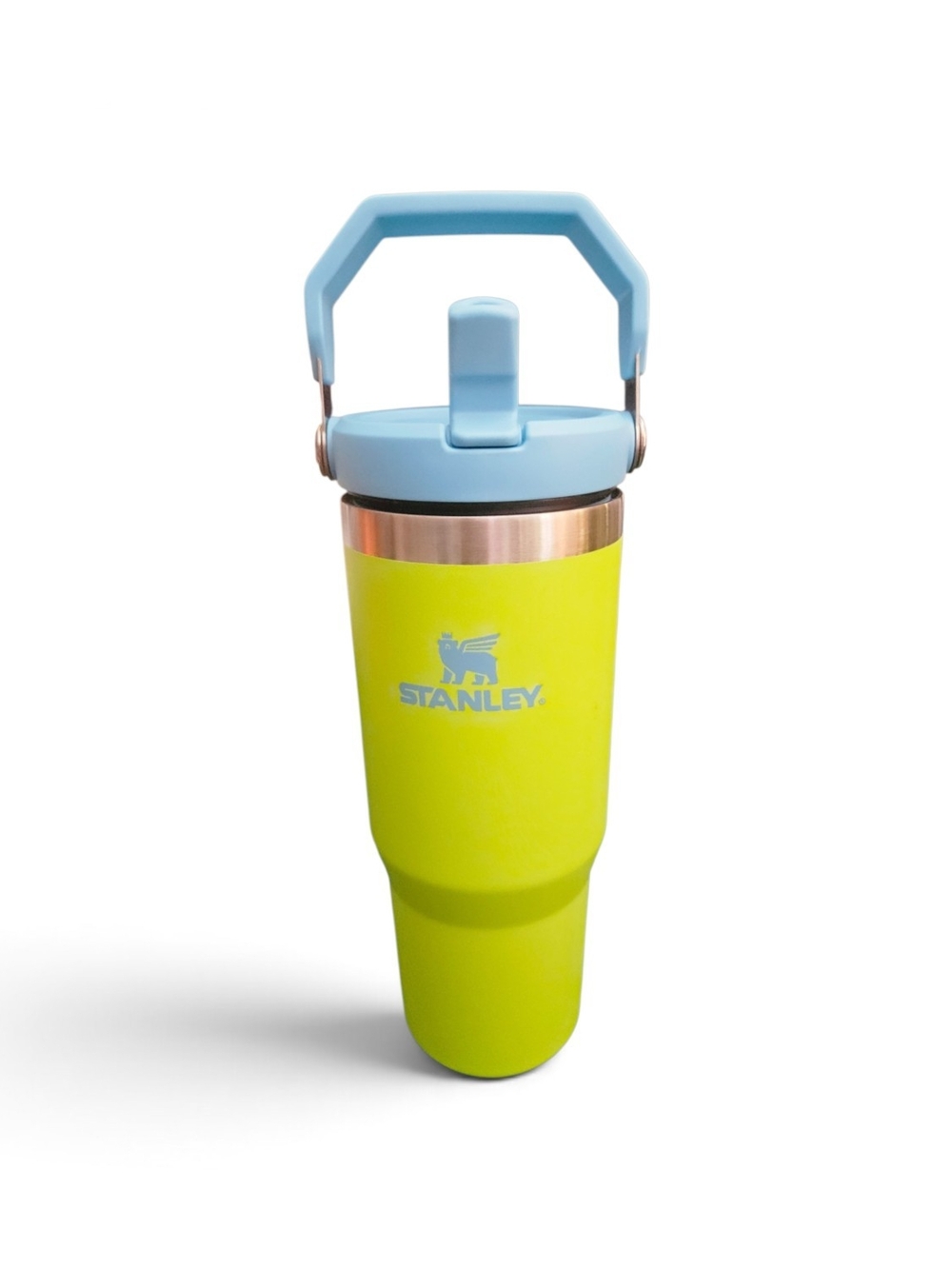 Stanley IceFlow Flip Straw Tumbler 30 oz Insulated Stainless Steel Cup Travel